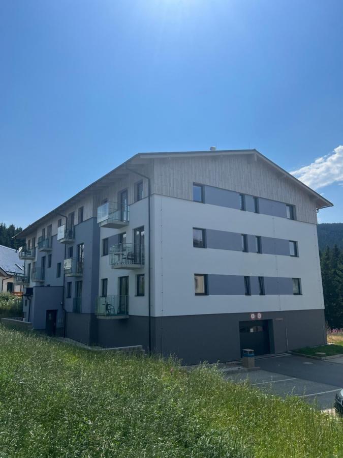 Klinovec-Apartments Loučná pod Klínovcem 외부 사진